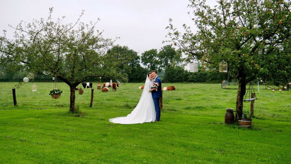 Videograaf Woudenberg en bruidspaar in wei met koeien